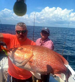 Reeled in Panama City finest Snapper